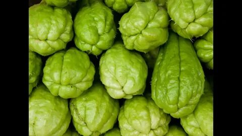 Овощ похожий на перец