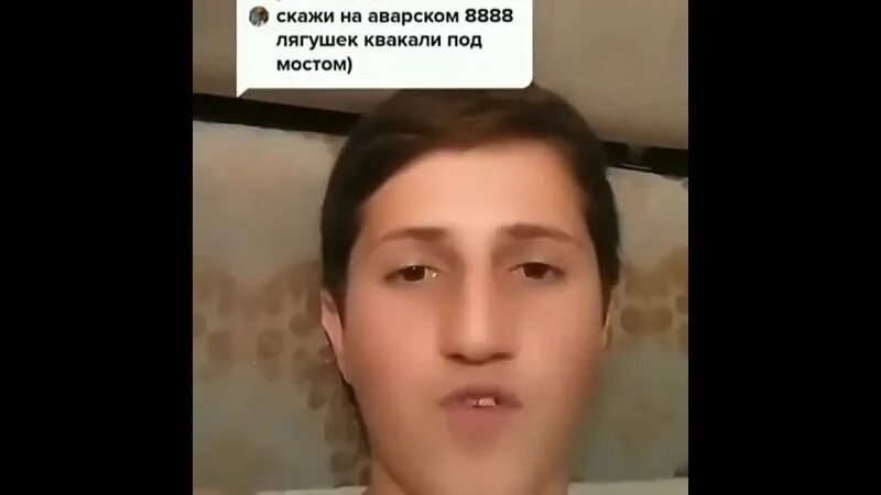 44 лягушки квакали под мостом по аварски. на аварском 7777 лягушек квакали под мостом. 8888 лягушек квакали под мостом на аварском. стишок о царевне лягушке детский. стих про царевну лягушку.