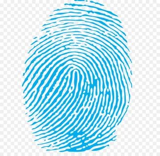 Rsa fingerprint