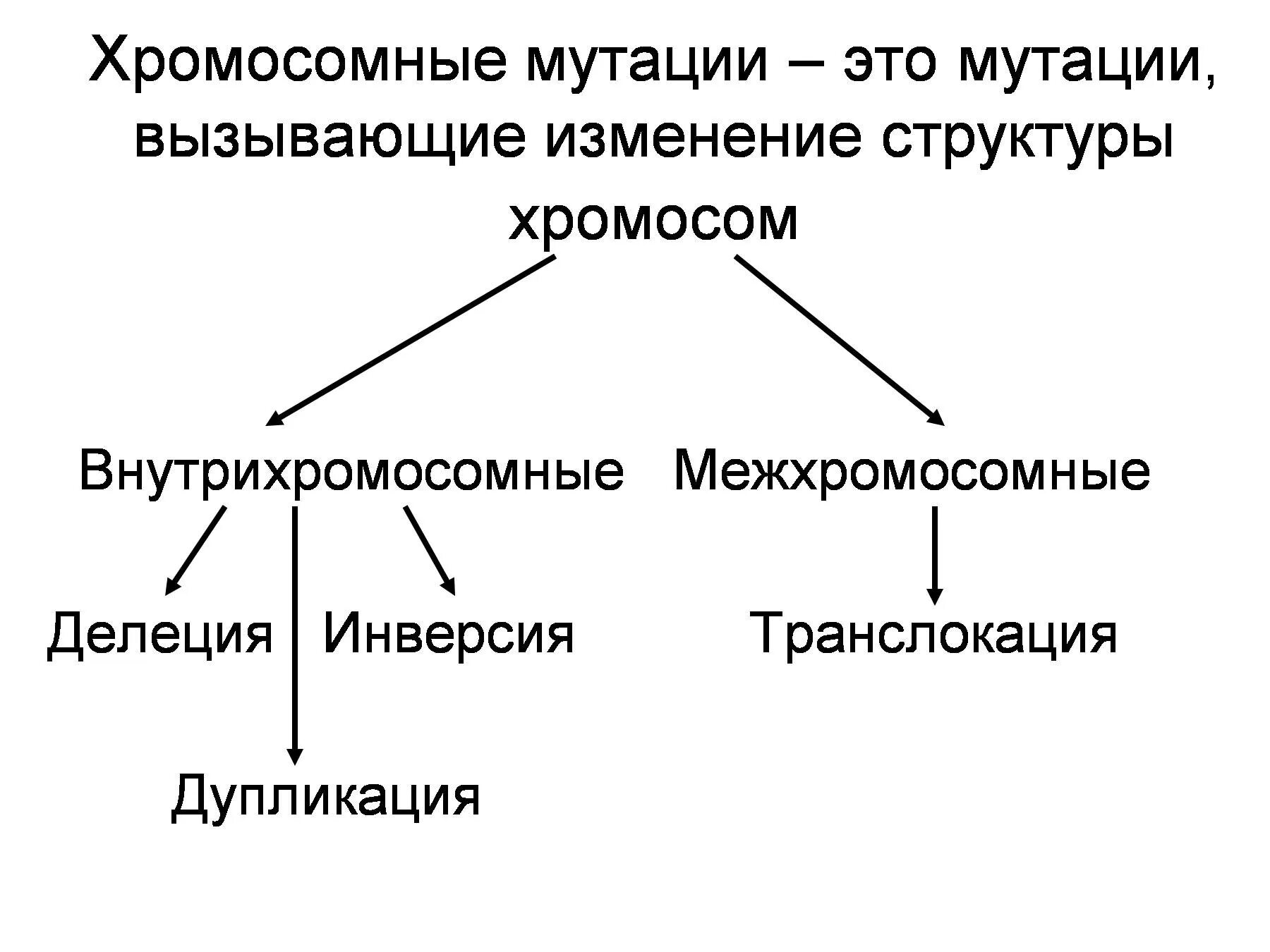 Вызывает изменение хромосом. Хромосомные мутации. Хромосомные мутации хромосомные мутации. Внутрихромосомные мутации. Виды хромосомных мутаций.