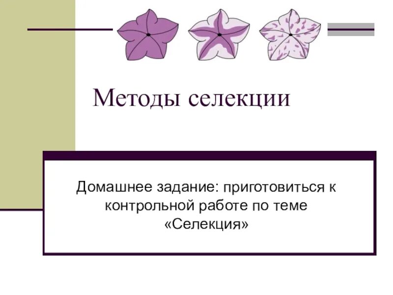 Селекция презентация 10 класс. Задание по теме селекция. Презентация по биологии селекция. Современная селекция.