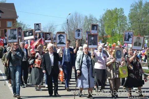 Сегодня в купавне