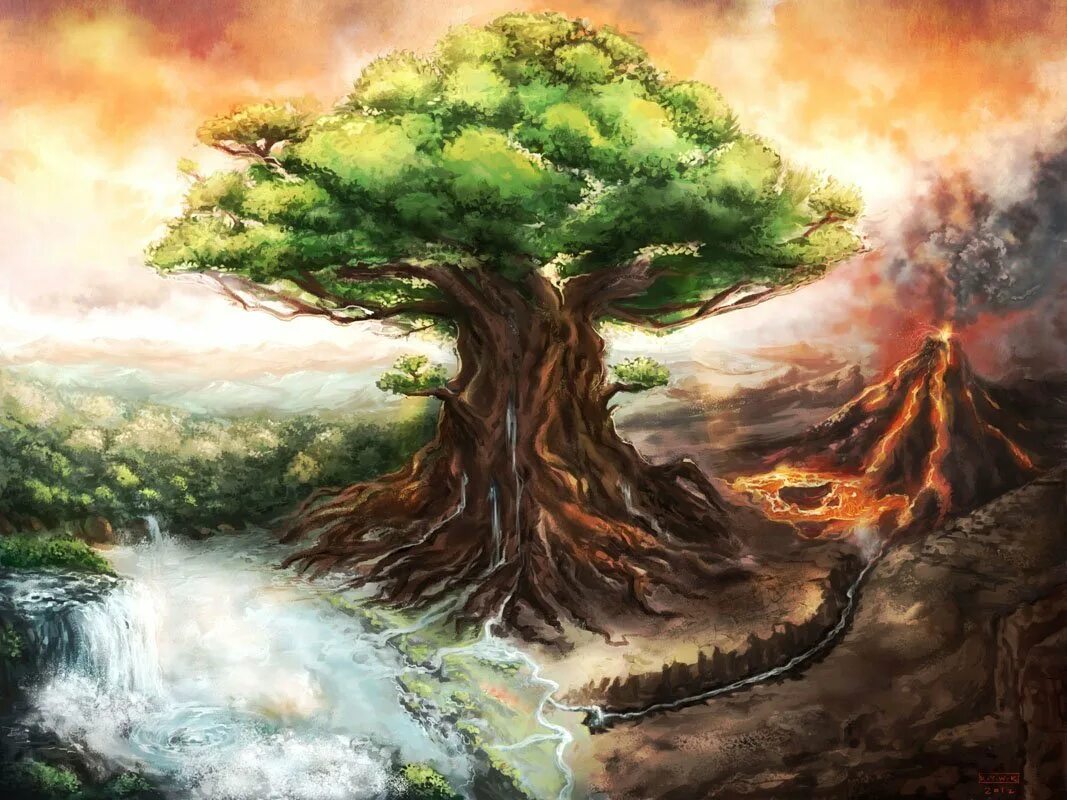 Дерево жизни дуб. Великий ясень Иггдрасиль. Ясень Иггдрасиль мировое дерево. Священное Древо Иггдрасиль. Исполинский ясень Иггдрасиль.