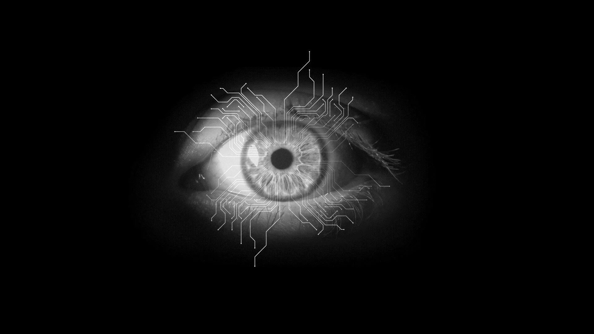 Black moving eye. Макросъемка глаза. Много глаз. Глаза на черном фоне арт. Глаза в темноте.