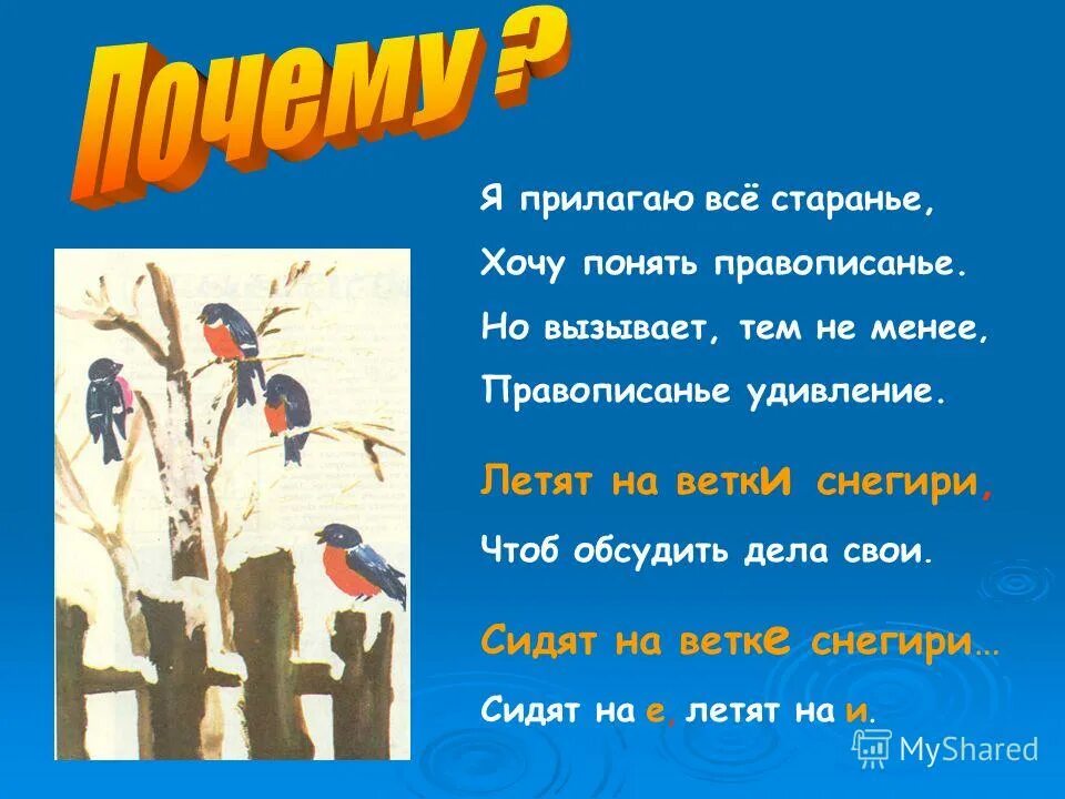 И полетели ветки