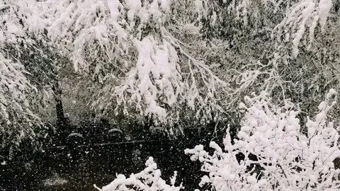 Как вызвать снег в реальной жизни
