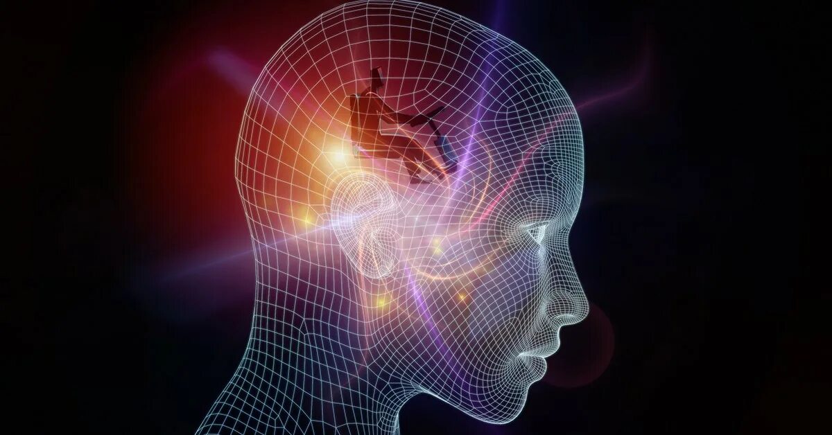 Mind net