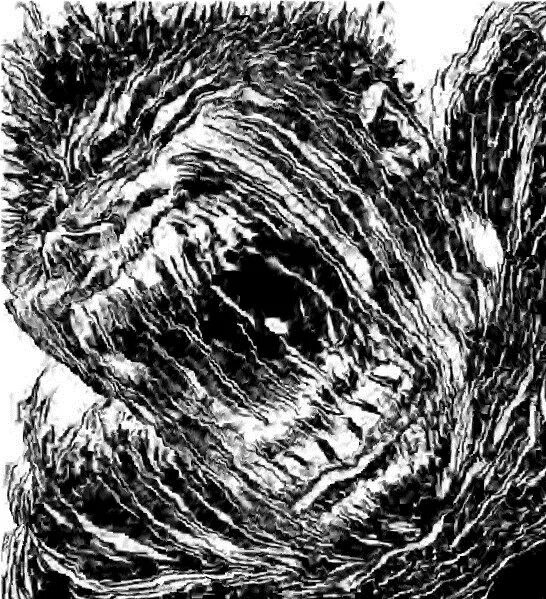 Берсерк мультсериал 2016. Кот в рыцарских доспехах. Берсерк мем. Кот гатс берсерк. Кот берсерк.