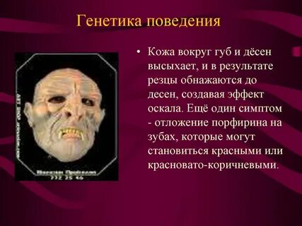 Генетика поведения