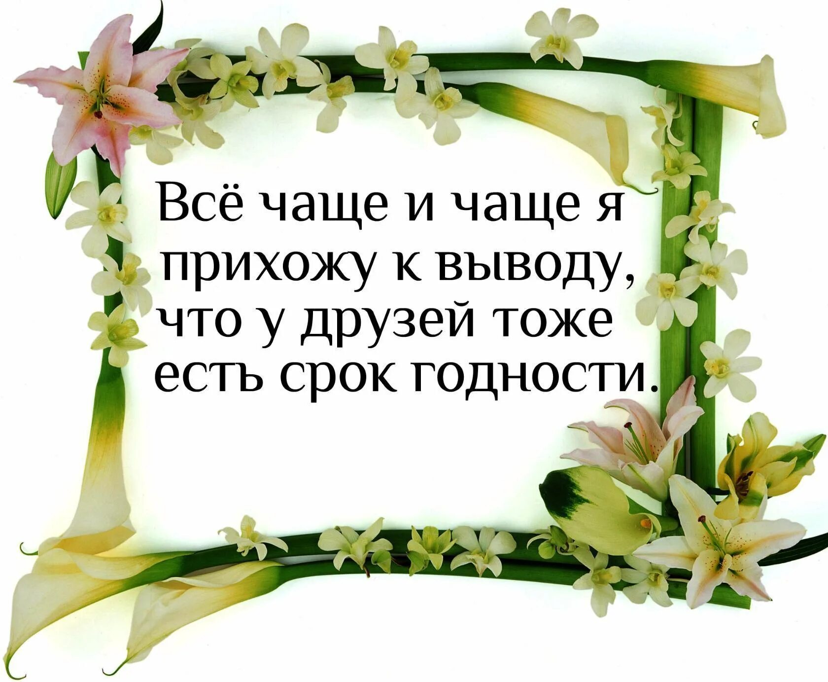 Цитаты про дружбу со смыслом. Высказывания о дружбе. Статусы про дружбу. Fajhbpvs j lhe;,e. Про бывших лучших друзей