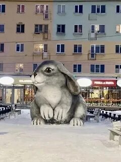 Кролики мурманск