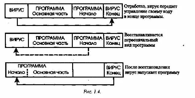 Функционирование вирусов. Загрузочные вирусы. Принцип действия компьютерного вируса. Механизм работы вирусов. Принцип работы вируса.