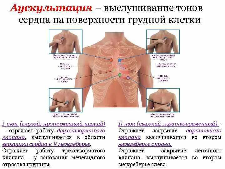 При пальпации болит ребро
