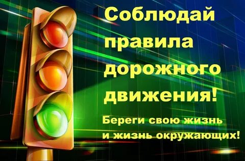 Правила дорог правила жизни