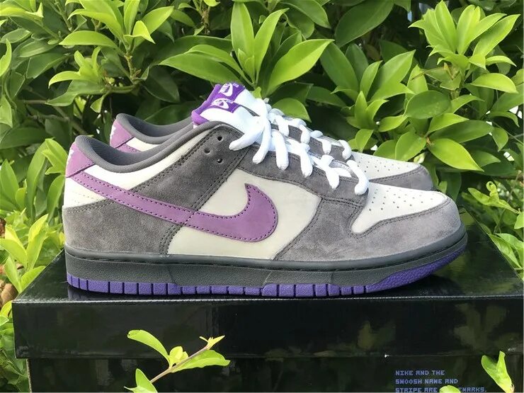 Найк с голубем. Nike SB Dunk Purple Pigeon. Nike SB Dunk Low Pro Purple Pigeon. Nike SB Dunk Low Purple. Nike Dunk Low Purple Pigeon.