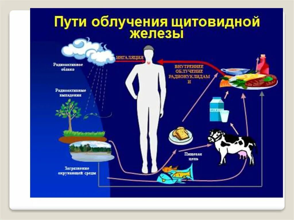 Йод от радиации. Влияние радиации на щитовидную железу. Радиоактивное облучение щитовидной железы. Облучение щитовидной железы радиоактивным йодом. Лучевая терапия щитовидной железы.