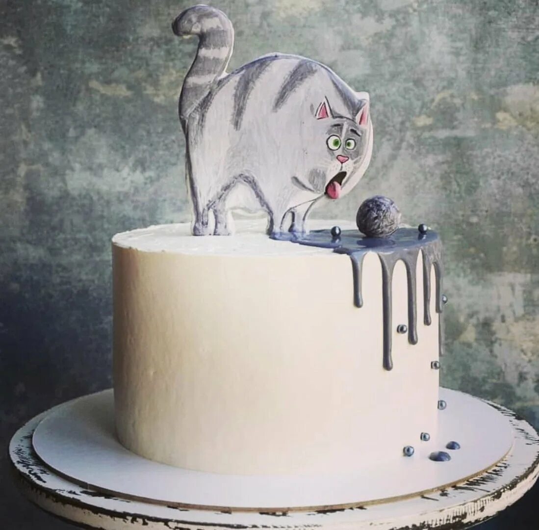 Торт кот. Торт с котом. торт с «котиком». торт с «кошечкой». тортик для котика.