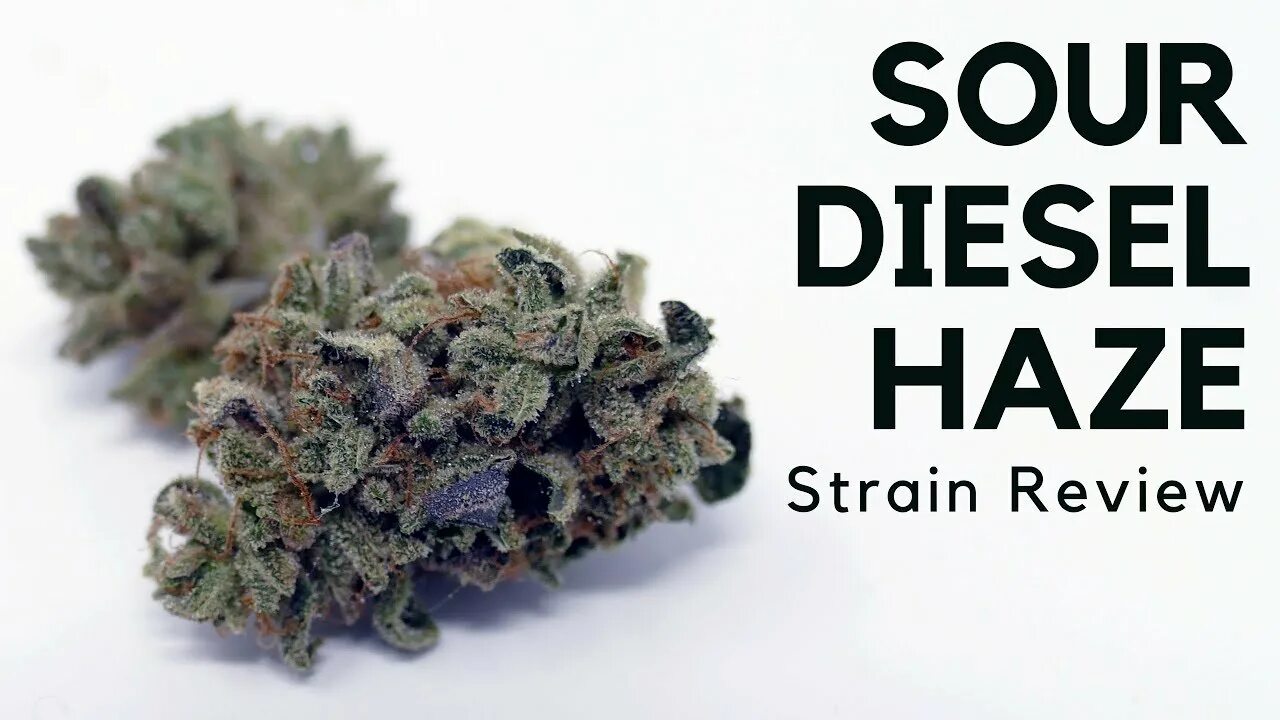 Haze. Haze картинки. Haze игра. Sour diesel. Haze logo.