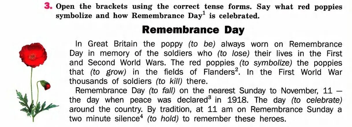 Open the Brackets. What is the symbol of Remembrance Day?. Remembrance Day в Великобритании на английском языке. Open the Brackets using the correct Tense form the Match. 100 дней английского языка