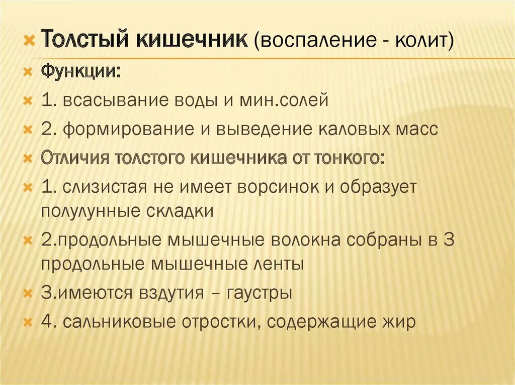 В чем видит толстой различие. Отличия тонкого и Толстого кишечника. Всасывание воды и формирование каловых масс. Отличия толстой кишки от тонкой. Отличия тонкого и Толстого кишечника таблица.