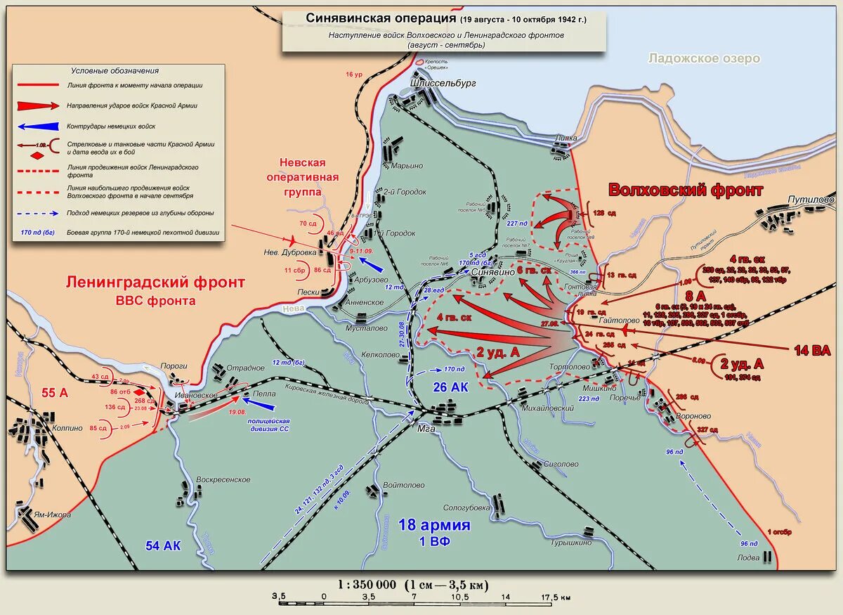 Волховский плацдарм в феврале 1942 года. Синявинская операция 1942. Синявинская операция 19 августа 10 октября 1942 года. Синявинской наступательной операции 1942 года. Синявинская операция Волховского и Ленинградского фронтов.