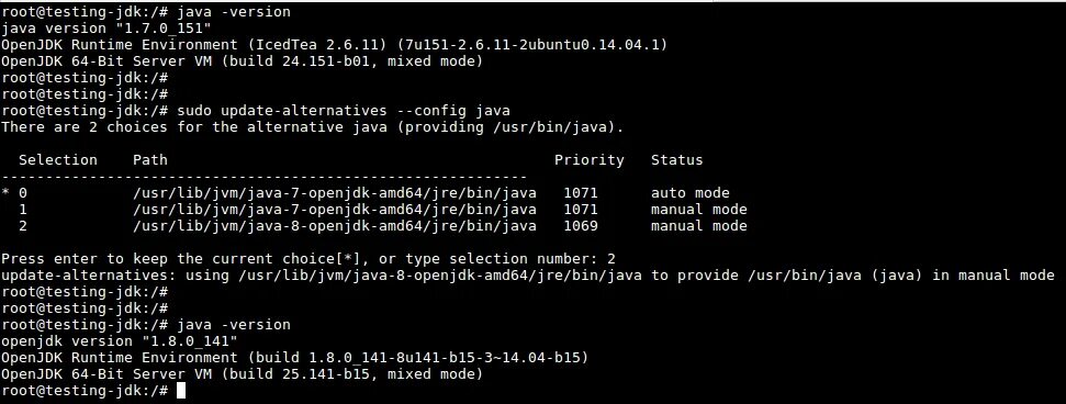 OPENJDK Version. JDK Интерфейс. OPENJDK java версии. OPENJDK java 8 runtime.