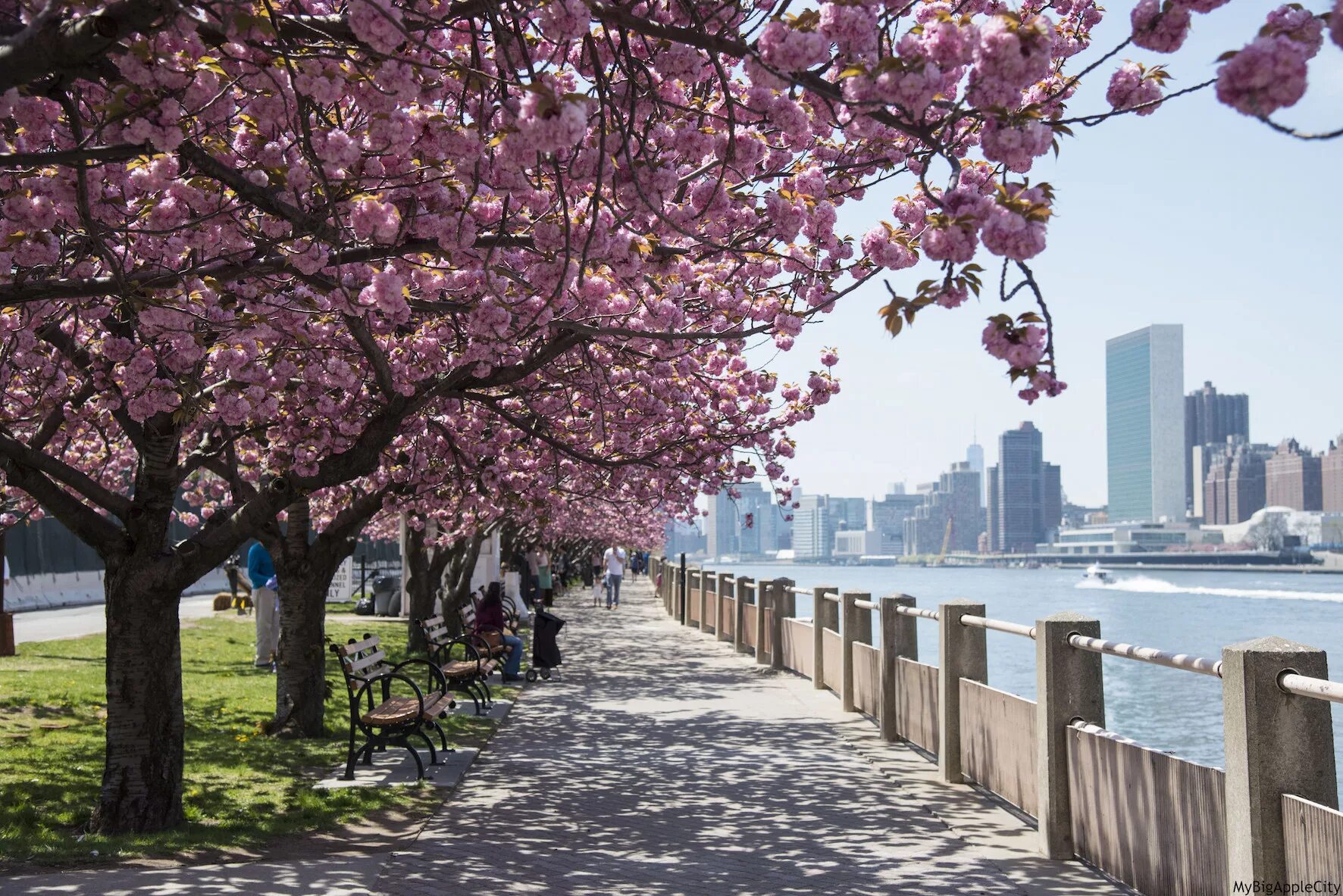 Spring central