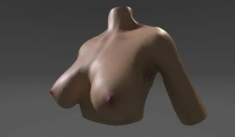 Low-poly 3D Model. tits realistic. 