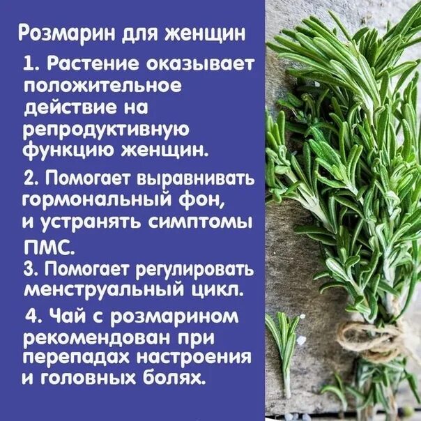 Травянчик, Декоративные разные, Клематисы, Многолетник купить по выгодной цене в