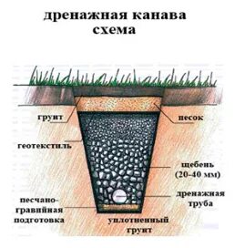 Слова канава