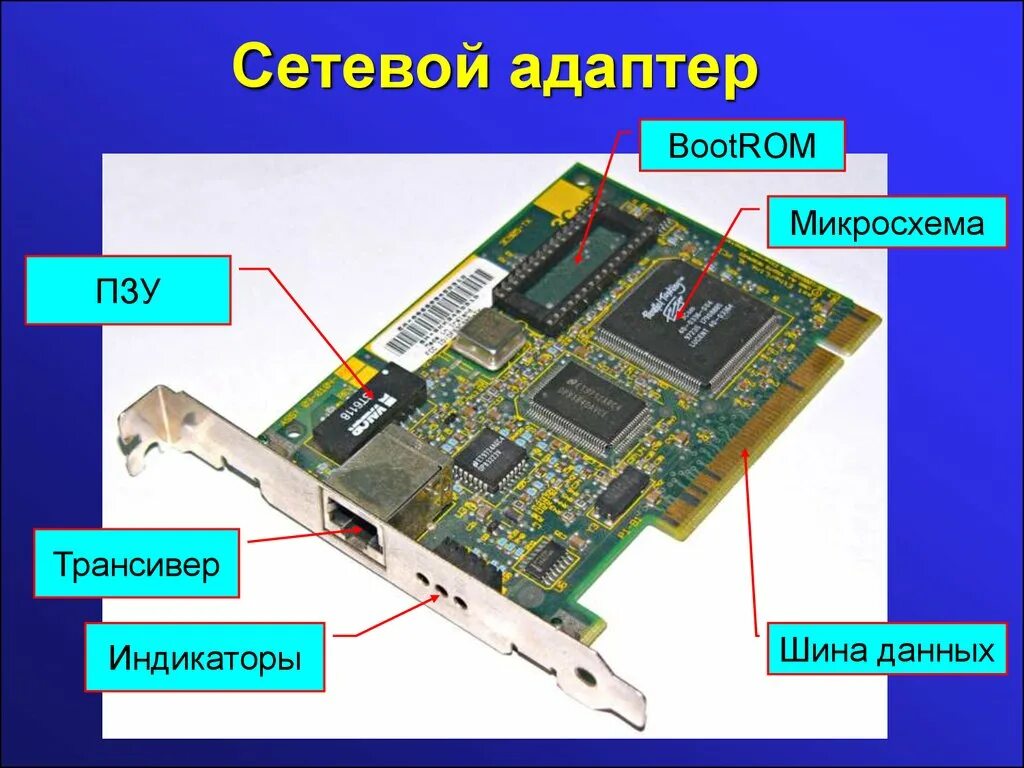 Типы сетевой карты. Состав платы сетевого адаптера. Сетевая плата, сетевая карта, сетевой адаптер. Компоненты локальной сети сетевая плата. Из чего состоит сетевая карта.