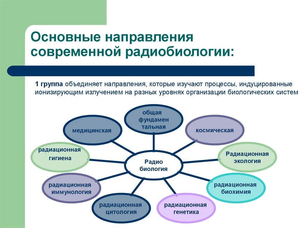 Радиобиология. Разделы радиобиологии. Направления радиобиологии. Медицинская радиобиология. Радиобиология основные разделы.