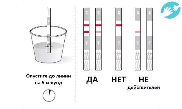 Как мочить тест на беременность