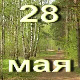 Мая 28 08