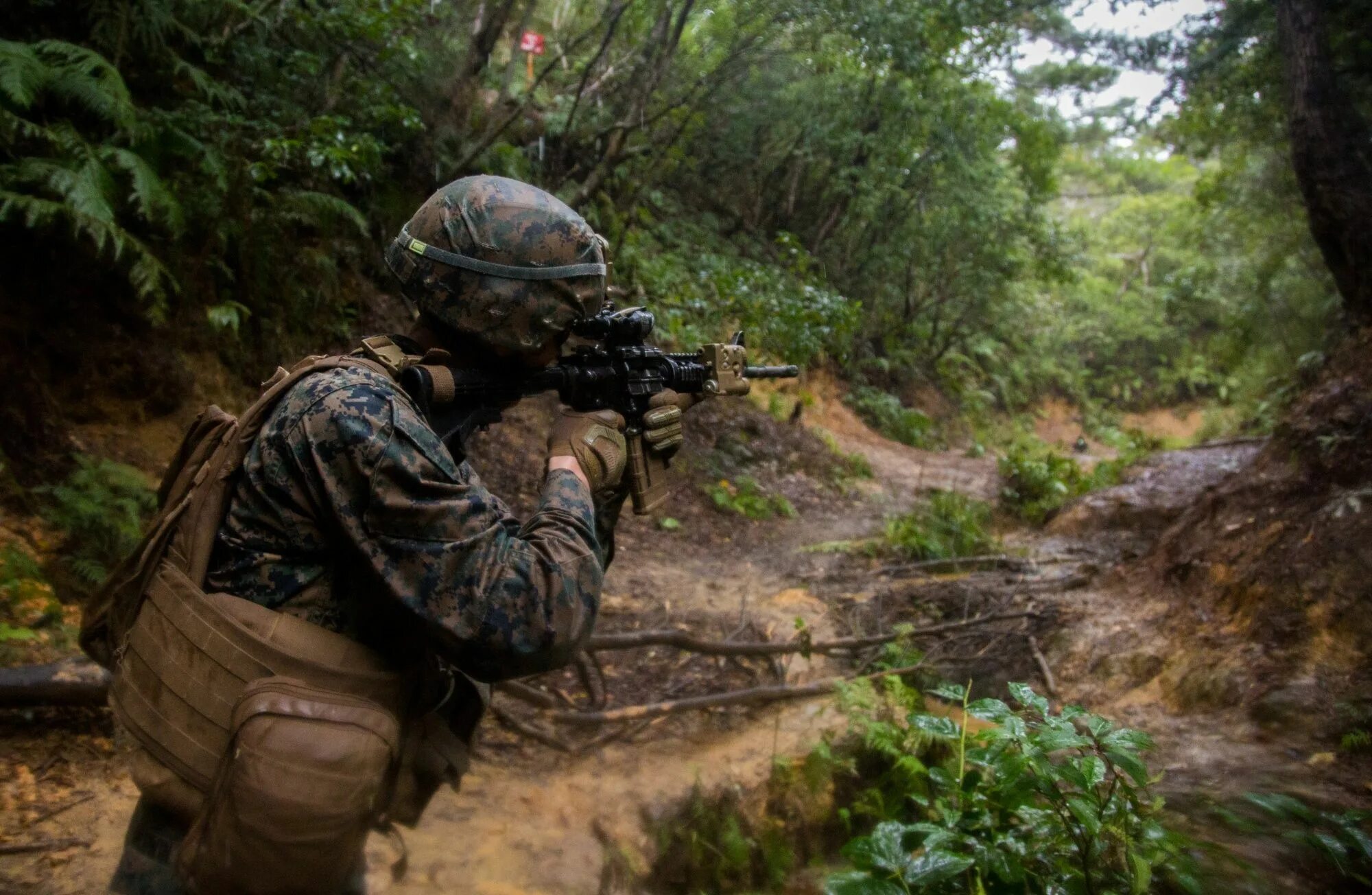 Боец 3 читать. Боец кмп сша. usmc okinawa. кмп сша в лесу. кмп сша в окинаве.