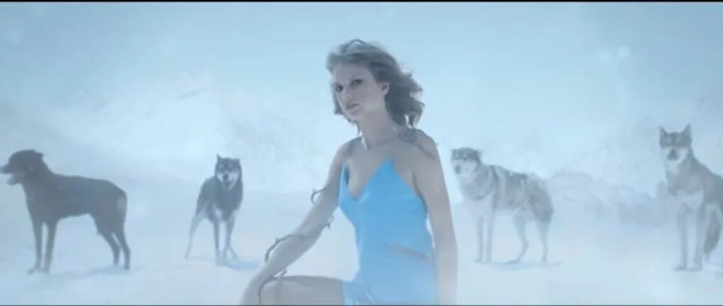 The woods swift. The woods swift