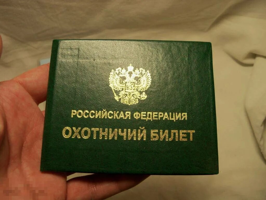 Охотничий билет единого федерального образца. Охотничий билет мои документы. Охотбилет единого образца. Мотив утиной охоты. Охотбилет федерального образца.