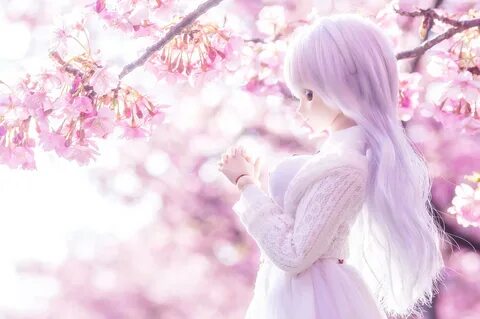 Sakura girl