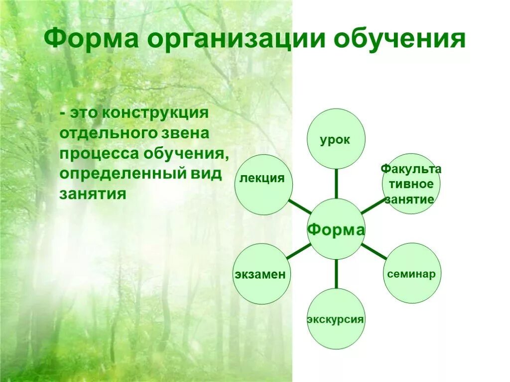 Урок форма организации учебного процесса. Формы организации обучения. Формы организации процесса обучения. Формы и виды организации обучения. Форма органов.