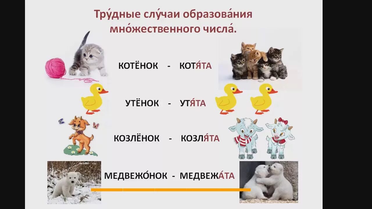 Котенок во множественном числе. Котенок в мн числе. Kitten множественное число. Множественное число число Kitten.