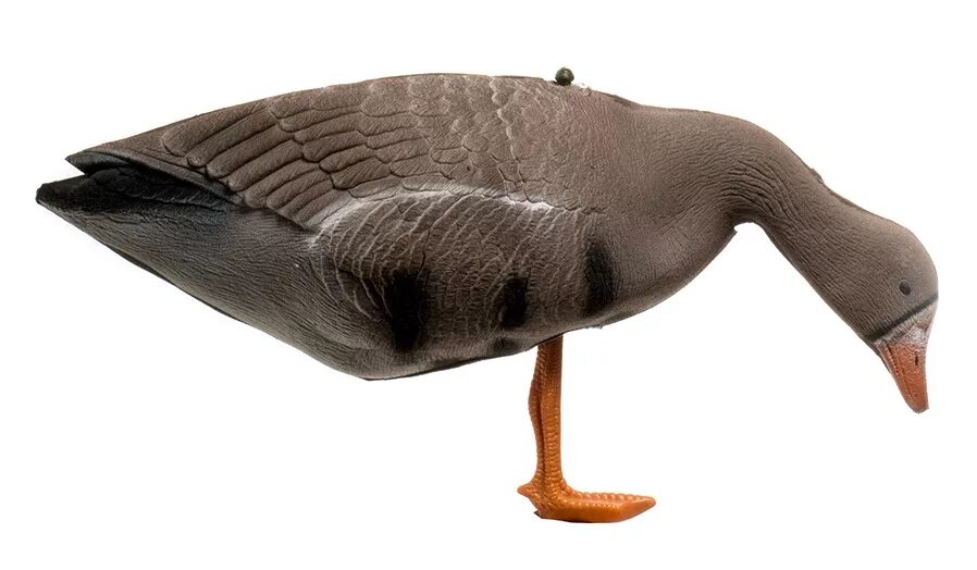 авито чучела гусей для охоты. фотореалистичные чучела гусей. гусь гуменник 3 д. чучела гусей нордвей софтпласт. авито чучела гусей для охоты.