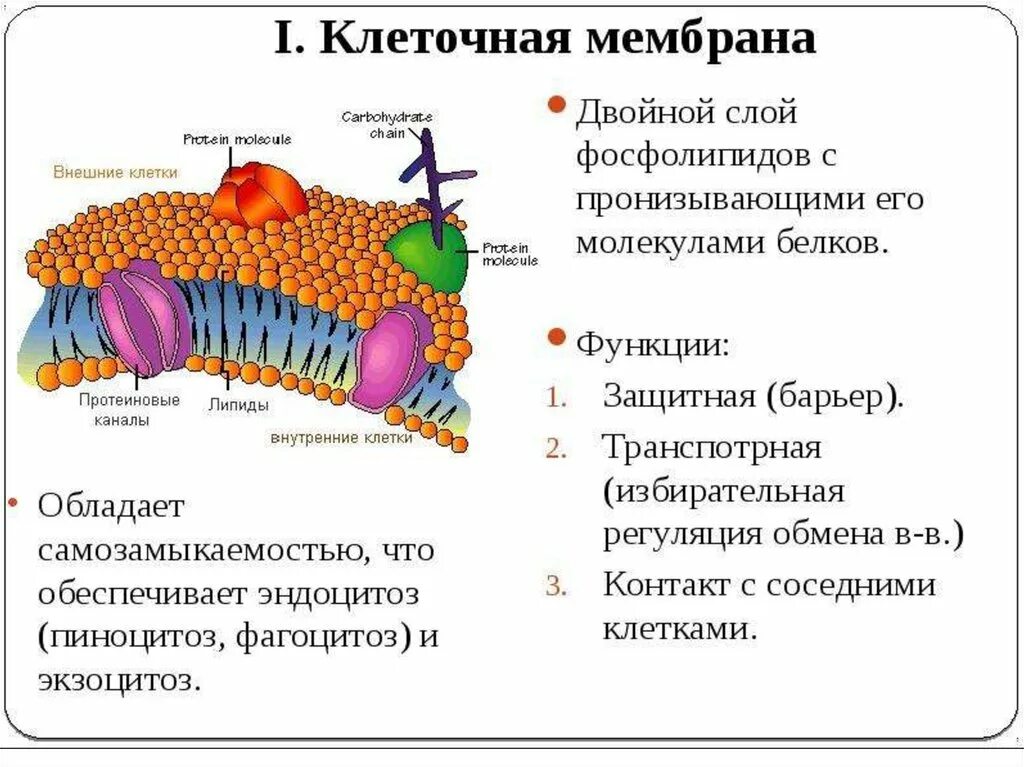 Функция оболочки кратко