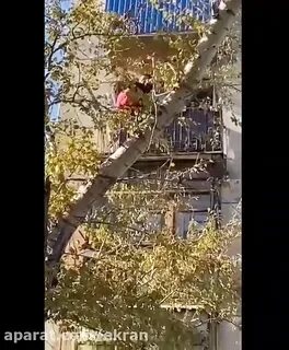 Женщина выпала с балкона