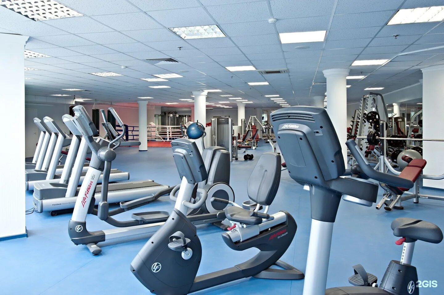 Спортивно-оздоровительный центр «отрадное». Arriba fitness краснодар. Алекс фитнес краснодар. Спортивный зал краснодар. Форс фит краснодар.