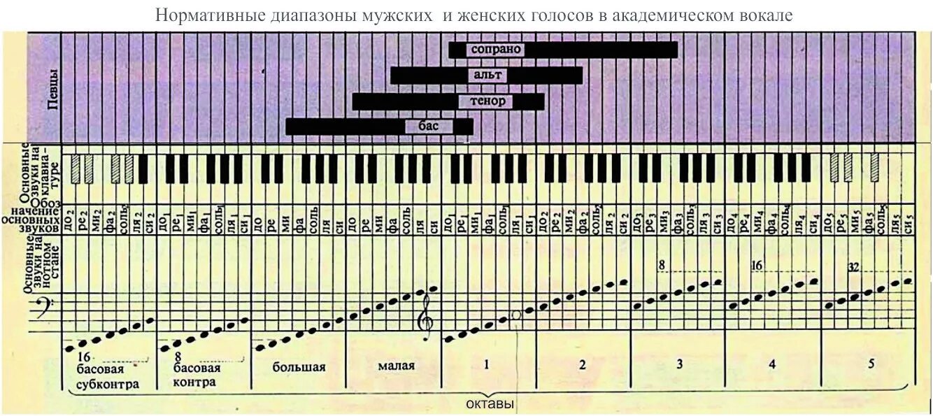 Диапазоны певческих голосов. Диапазон октав голоса. Диапазон голосов по октавам. Классификация певческих голосов.