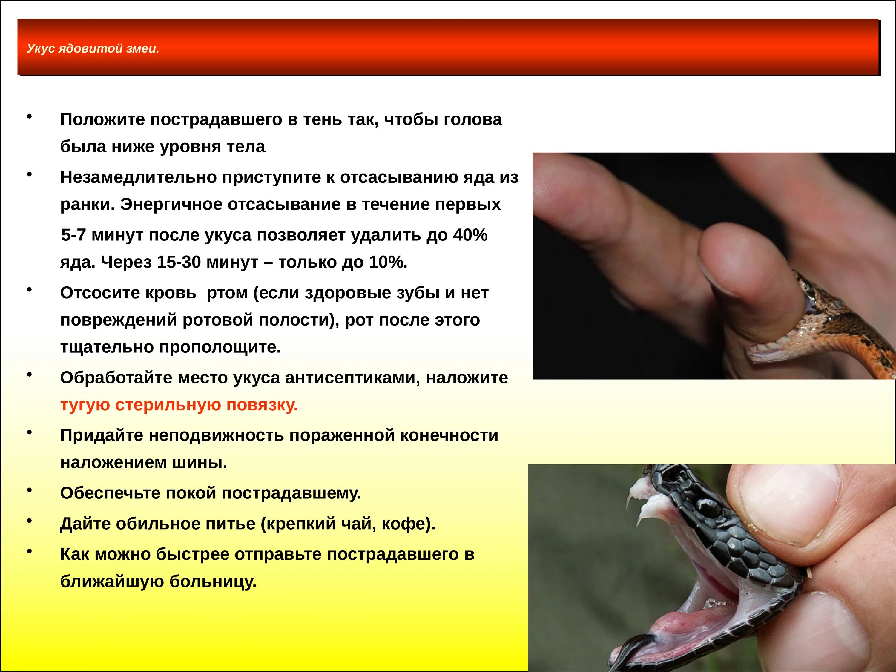 Противопоказания для отсасывания яда из ранки ртом. Укусы ядовитых и неядовитых змей. Последствия укуса ядовитых змей.
