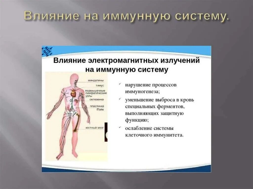 Иммунная температура. Иммунная система человека. Влияние на иммунную систему. Влияние электромагнитного излучения на иммунную систему. Влияние электромагнитного излучения неиммунную систему.