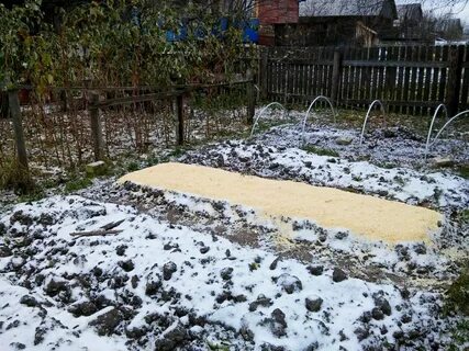 Огород поздней осенью