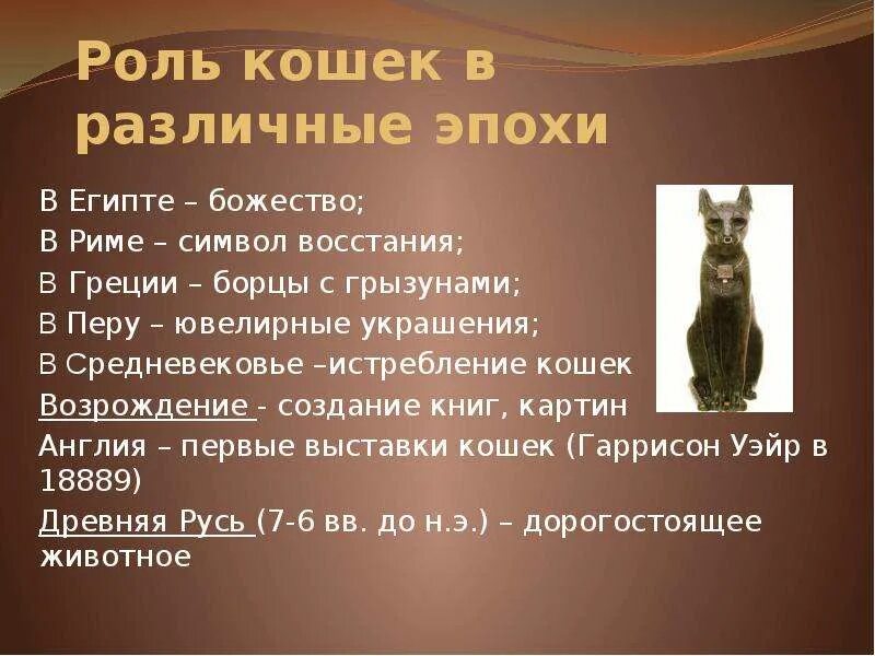 Презентация "Роль физики в жизни кошки" по астрономии - скачать проект