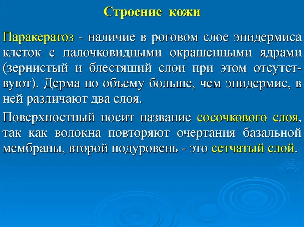 Паракератоз что это значит. Плоский эпителий матки паракератоз. Дефицит цинка у свиней. Акантоз кожи гистология. Паракератоз что это значит.